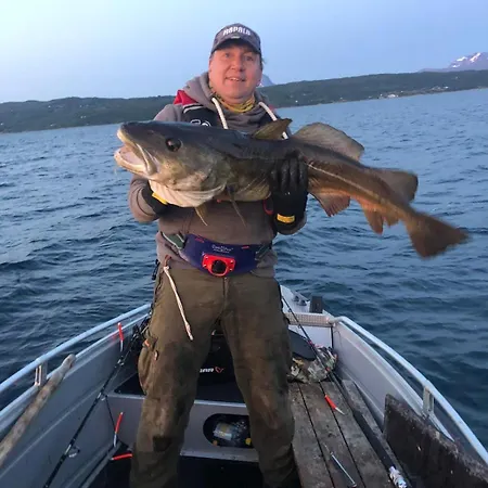 Evenes Artic Glamping * Evenesmarkja