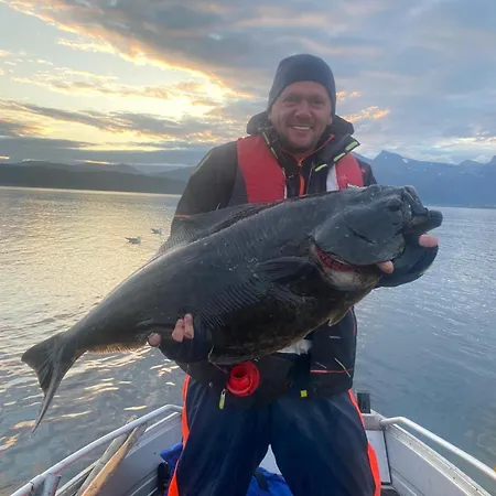 Evenes Artic Glamping Luxusní stan *