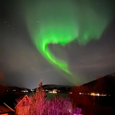 Evenes Artic Glamping