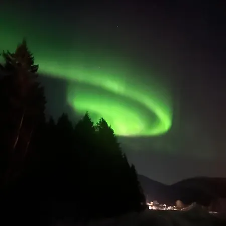 Luxusní stan Evenes Artic Glamping *