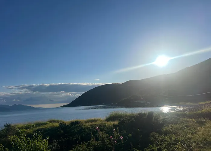 Lyxtält Evenes Artic Glamping *