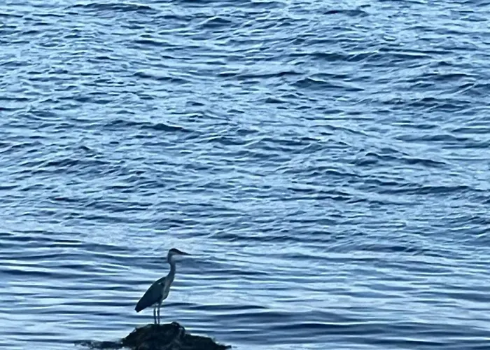 Evenes Artic Glamping *