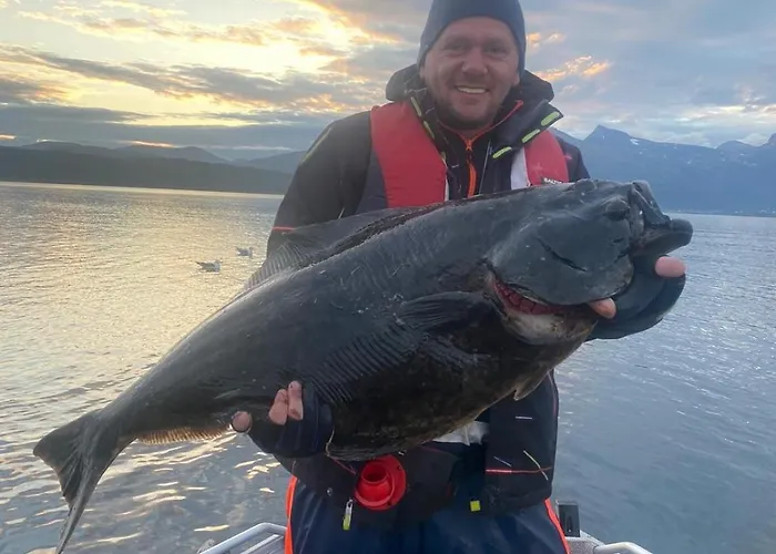 Evenes Artic Glamping Lyxtält *