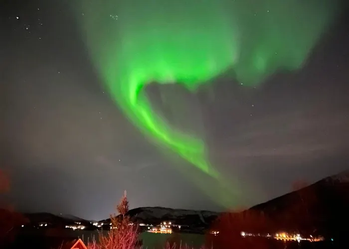 Evenes Artic Glamping