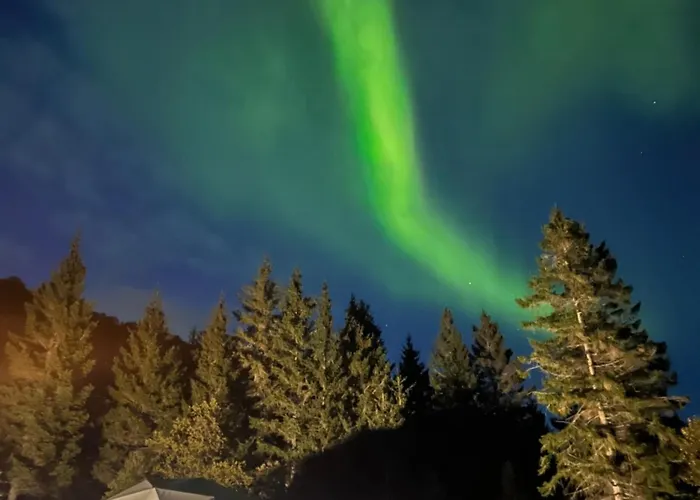 Evenes Artic Glamping Lyxtält