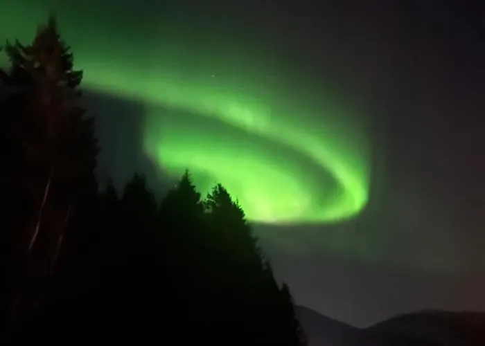 Lyxtält Evenes Artic Glamping *